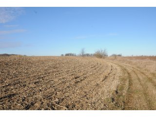 Property photo 159 - MAJOR ILLINOIS LAND AUCTION - 809+/- ACRES IN 12 TRACTS IN PIATT COUNTY, ILLINOIS