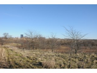 Property photo 121 - MAJOR ILLINOIS LAND AUCTION - 809+/- ACRES IN 12 TRACTS IN PIATT COUNTY, ILLINOIS