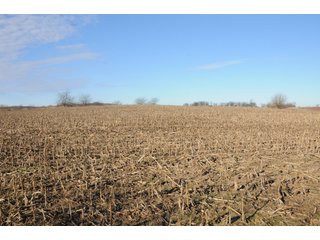 Property photo 166 - MAJOR ILLINOIS LAND AUCTION - 809+/- ACRES IN 12 TRACTS IN PIATT COUNTY, ILLINOIS