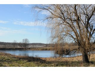 Property photo 30 - MAJOR ILLINOIS LAND AUCTION - 809+/- ACRES IN 12 TRACTS IN PIATT COUNTY, ILLINOIS