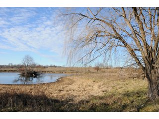 Property photo 33 - MAJOR ILLINOIS LAND AUCTION - 809+/- ACRES IN 12 TRACTS IN PIATT COUNTY, ILLINOIS