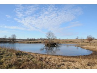 Property photo 32 - MAJOR ILLINOIS LAND AUCTION - 809+/- ACRES IN 12 TRACTS IN PIATT COUNTY, ILLINOIS