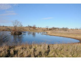 Property photo 31 - MAJOR ILLINOIS LAND AUCTION - 809+/- ACRES IN 12 TRACTS IN PIATT COUNTY, ILLINOIS