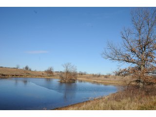 Property photo 25 - MAJOR ILLINOIS LAND AUCTION - 809+/- ACRES IN 12 TRACTS IN PIATT COUNTY, ILLINOIS