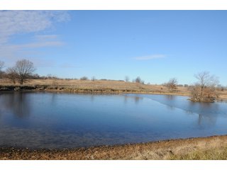 Property photo 27 - MAJOR ILLINOIS LAND AUCTION - 809+/- ACRES IN 12 TRACTS IN PIATT COUNTY, ILLINOIS