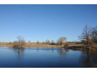 Property photo 24 - MAJOR ILLINOIS LAND AUCTION - 809+/- ACRES IN 12 TRACTS IN PIATT COUNTY, ILLINOIS