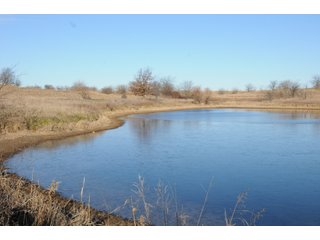 Property photo 28 - MAJOR ILLINOIS LAND AUCTION - 809+/- ACRES IN 12 TRACTS IN PIATT COUNTY, ILLINOIS