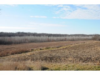 Property photo 114 - MAJOR ILLINOIS LAND AUCTION - 809+/- ACRES IN 12 TRACTS IN PIATT COUNTY, ILLINOIS