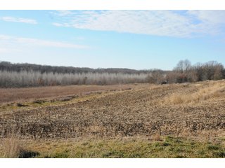 Property photo 149 - MAJOR ILLINOIS LAND AUCTION - 809+/- ACRES IN 12 TRACTS IN PIATT COUNTY, ILLINOIS