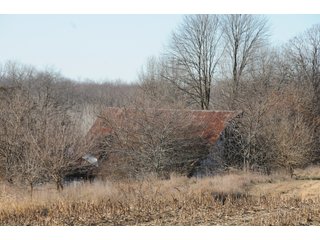Property photo 124 - MAJOR ILLINOIS LAND AUCTION - 809+/- ACRES IN 12 TRACTS IN PIATT COUNTY, ILLINOIS