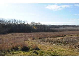 Property photo 101 - MAJOR ILLINOIS LAND AUCTION - 809+/- ACRES IN 12 TRACTS IN PIATT COUNTY, ILLINOIS