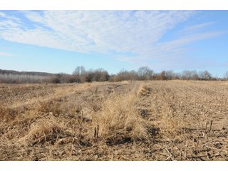 Property photo 88 - MAJOR ILLINOIS LAND AUCTION - 809+/- ACRES IN 12 TRACTS IN PIATT COUNTY, ILLINOIS