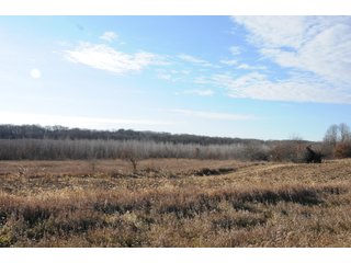 Property photo 90 - MAJOR ILLINOIS LAND AUCTION - 809+/- ACRES IN 12 TRACTS IN PIATT COUNTY, ILLINOIS