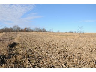 Property photo 167 - MAJOR ILLINOIS LAND AUCTION - 809+/- ACRES IN 12 TRACTS IN PIATT COUNTY, ILLINOIS