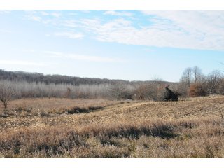 Property photo 147 - MAJOR ILLINOIS LAND AUCTION - 809+/- ACRES IN 12 TRACTS IN PIATT COUNTY, ILLINOIS