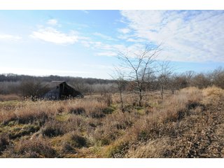 Property photo 172 - MAJOR ILLINOIS LAND AUCTION - 809+/- ACRES IN 12 TRACTS IN PIATT COUNTY, ILLINOIS