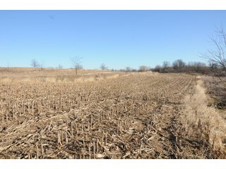 Property photo 103 - MAJOR ILLINOIS LAND AUCTION - 809+/- ACRES IN 12 TRACTS IN PIATT COUNTY, ILLINOIS