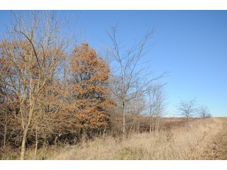 Property photo 139 - MAJOR ILLINOIS LAND AUCTION - 809+/- ACRES IN 12 TRACTS IN PIATT COUNTY, ILLINOIS