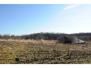 Property photo 141 - MAJOR ILLINOIS LAND AUCTION - 809+/- ACRES IN 12 TRACTS IN PIATT COUNTY, ILLINOIS