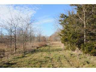 Property photo 116 - MAJOR ILLINOIS LAND AUCTION - 809+/- ACRES IN 12 TRACTS IN PIATT COUNTY, ILLINOIS