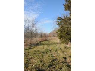 Property photo 130 - MAJOR ILLINOIS LAND AUCTION - 809+/- ACRES IN 12 TRACTS IN PIATT COUNTY, ILLINOIS