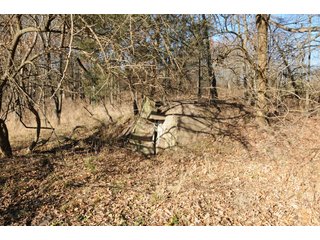 Property photo 158 - MAJOR ILLINOIS LAND AUCTION - 809+/- ACRES IN 12 TRACTS IN PIATT COUNTY, ILLINOIS