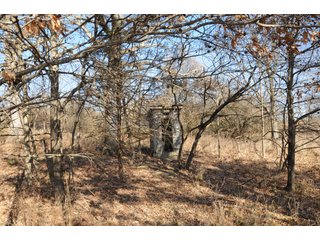 Property photo 91 - MAJOR ILLINOIS LAND AUCTION - 809+/- ACRES IN 12 TRACTS IN PIATT COUNTY, ILLINOIS