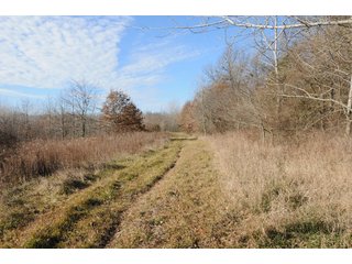 Property photo 104 - MAJOR ILLINOIS LAND AUCTION - 809+/- ACRES IN 12 TRACTS IN PIATT COUNTY, ILLINOIS