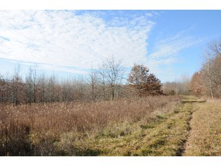 Property photo 142 - MAJOR ILLINOIS LAND AUCTION - 809+/- ACRES IN 12 TRACTS IN PIATT COUNTY, ILLINOIS