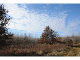 Property photo 122 - MAJOR ILLINOIS LAND AUCTION - 809+/- ACRES IN 12 TRACTS IN PIATT COUNTY, ILLINOIS
