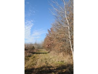 Property photo 153 - MAJOR ILLINOIS LAND AUCTION - 809+/- ACRES IN 12 TRACTS IN PIATT COUNTY, ILLINOIS