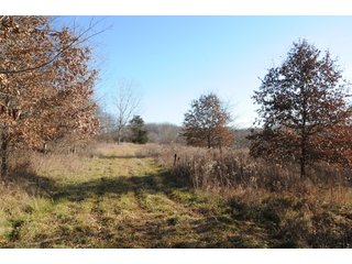 Property photo 132 - MAJOR ILLINOIS LAND AUCTION - 809+/- ACRES IN 12 TRACTS IN PIATT COUNTY, ILLINOIS