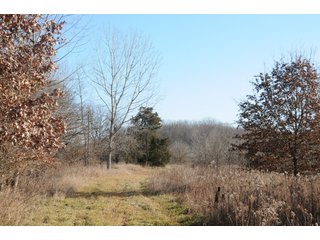 Property photo 180 - MAJOR ILLINOIS LAND AUCTION - 809+/- ACRES IN 12 TRACTS IN PIATT COUNTY, ILLINOIS