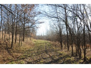 TRACT 9 - MAJOR ILLINOIS LAND AUCTION - 809+/- ACRES IN 12 TRACTS IN PIATT COUNTY, ILLINOIS