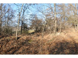 Property photo 163 - MAJOR ILLINOIS LAND AUCTION - 809+/- ACRES IN 12 TRACTS IN PIATT COUNTY, ILLINOIS