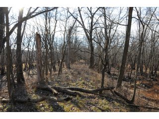 Property photo 108 - MAJOR ILLINOIS LAND AUCTION - 809+/- ACRES IN 12 TRACTS IN PIATT COUNTY, ILLINOIS