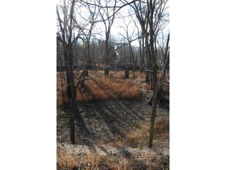 Property photo 174 - MAJOR ILLINOIS LAND AUCTION - 809+/- ACRES IN 12 TRACTS IN PIATT COUNTY, ILLINOIS