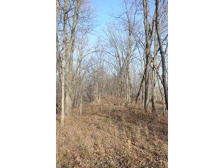 Property photo 146 - MAJOR ILLINOIS LAND AUCTION - 809+/- ACRES IN 12 TRACTS IN PIATT COUNTY, ILLINOIS