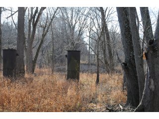 Property photo 110 - MAJOR ILLINOIS LAND AUCTION - 809+/- ACRES IN 12 TRACTS IN PIATT COUNTY, ILLINOIS