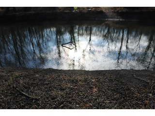 Property photo 47 - MAJOR ILLINOIS LAND AUCTION - 809+/- ACRES IN 12 TRACTS IN PIATT COUNTY, ILLINOIS