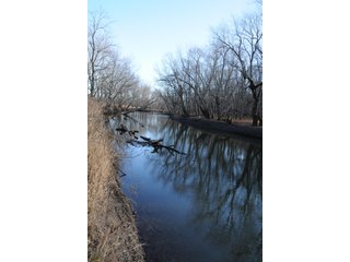 Property photo 41 - MAJOR ILLINOIS LAND AUCTION - 809+/- ACRES IN 12 TRACTS IN PIATT COUNTY, ILLINOIS