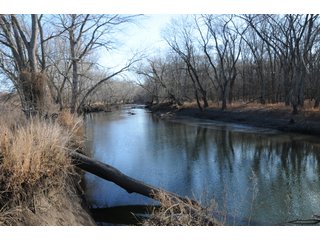 Property photo 43 - MAJOR ILLINOIS LAND AUCTION - 809+/- ACRES IN 12 TRACTS IN PIATT COUNTY, ILLINOIS