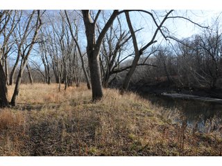 Property photo 44 - MAJOR ILLINOIS LAND AUCTION - 809+/- ACRES IN 12 TRACTS IN PIATT COUNTY, ILLINOIS