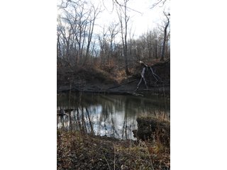 Property photo 46 - MAJOR ILLINOIS LAND AUCTION - 809+/- ACRES IN 12 TRACTS IN PIATT COUNTY, ILLINOIS