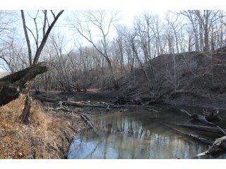 Property photo 40 - MAJOR ILLINOIS LAND AUCTION - 809+/- ACRES IN 12 TRACTS IN PIATT COUNTY, ILLINOIS