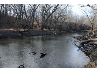 Property photo 34 - MAJOR ILLINOIS LAND AUCTION - 809+/- ACRES IN 12 TRACTS IN PIATT COUNTY, ILLINOIS