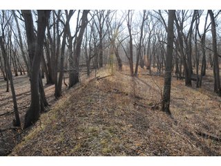 Property photo 168 - MAJOR ILLINOIS LAND AUCTION - 809+/- ACRES IN 12 TRACTS IN PIATT COUNTY, ILLINOIS