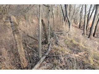 Property photo 162 - MAJOR ILLINOIS LAND AUCTION - 809+/- ACRES IN 12 TRACTS IN PIATT COUNTY, ILLINOIS