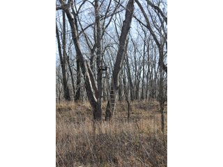 Property photo 102 - MAJOR ILLINOIS LAND AUCTION - 809+/- ACRES IN 12 TRACTS IN PIATT COUNTY, ILLINOIS
