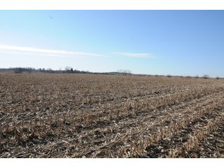 Property photo 135 - MAJOR ILLINOIS LAND AUCTION - 809+/- ACRES IN 12 TRACTS IN PIATT COUNTY, ILLINOIS